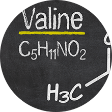 valine