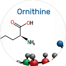 ornithine